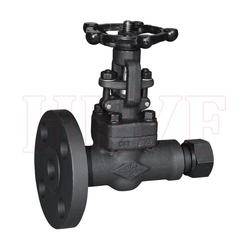 Forged steel drain gate valve