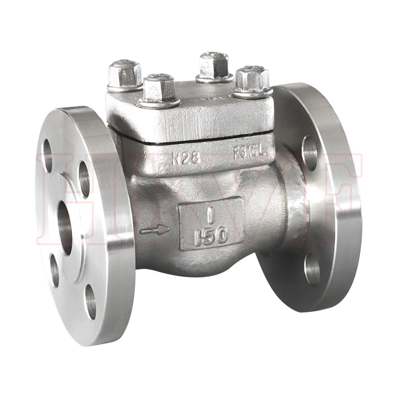 Stainless steel flange check valve