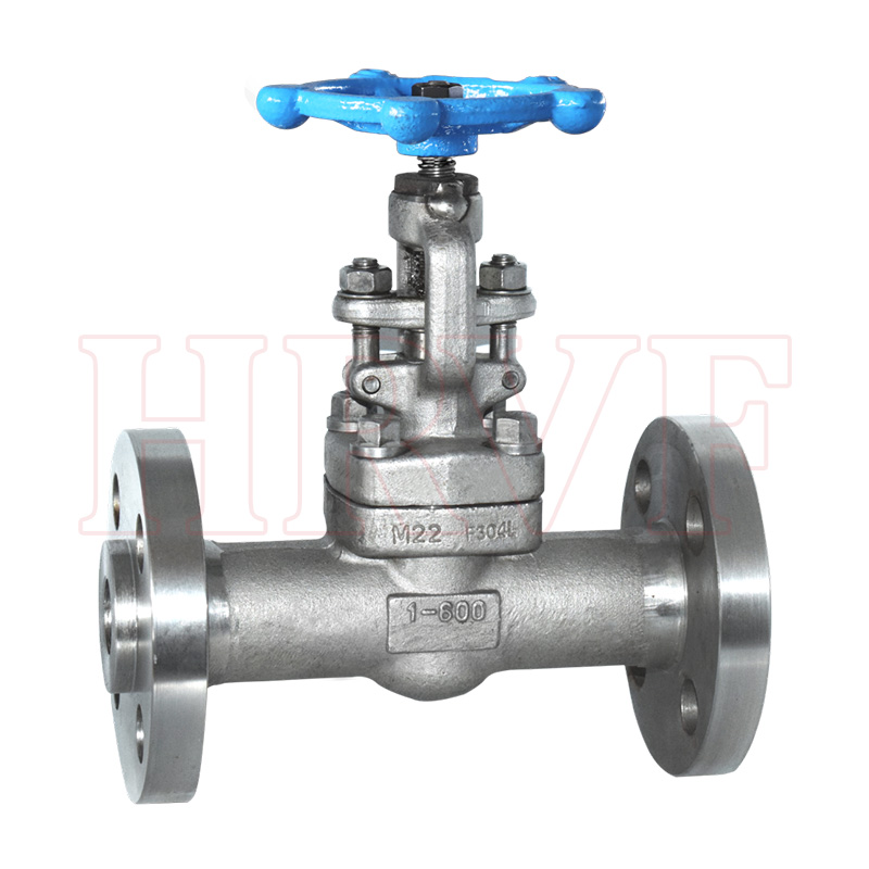 Stainless steel flange globe valve