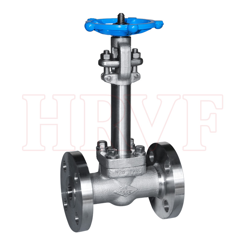 Stainless steel low-temperature gate valve