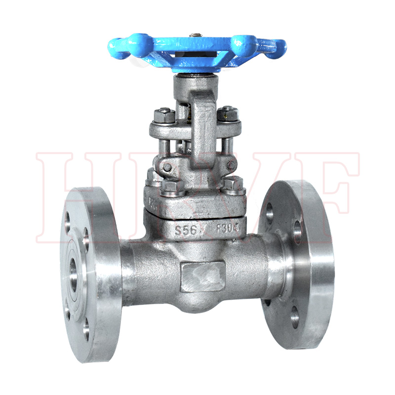 Stainless steel gate valve