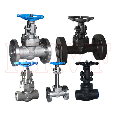 Gate Valve series