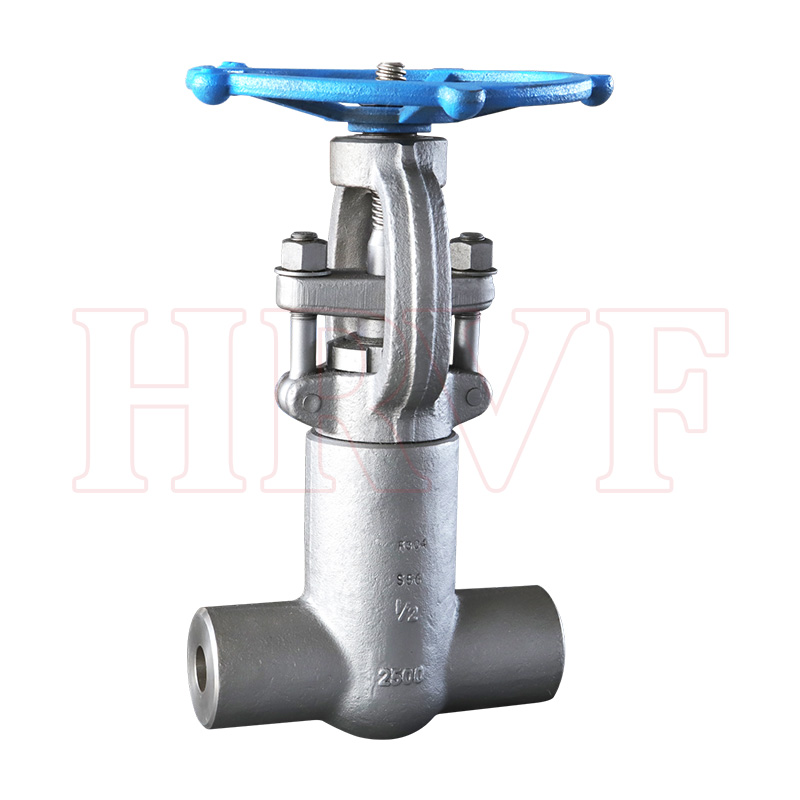 Stainless steel non-standard gate valve