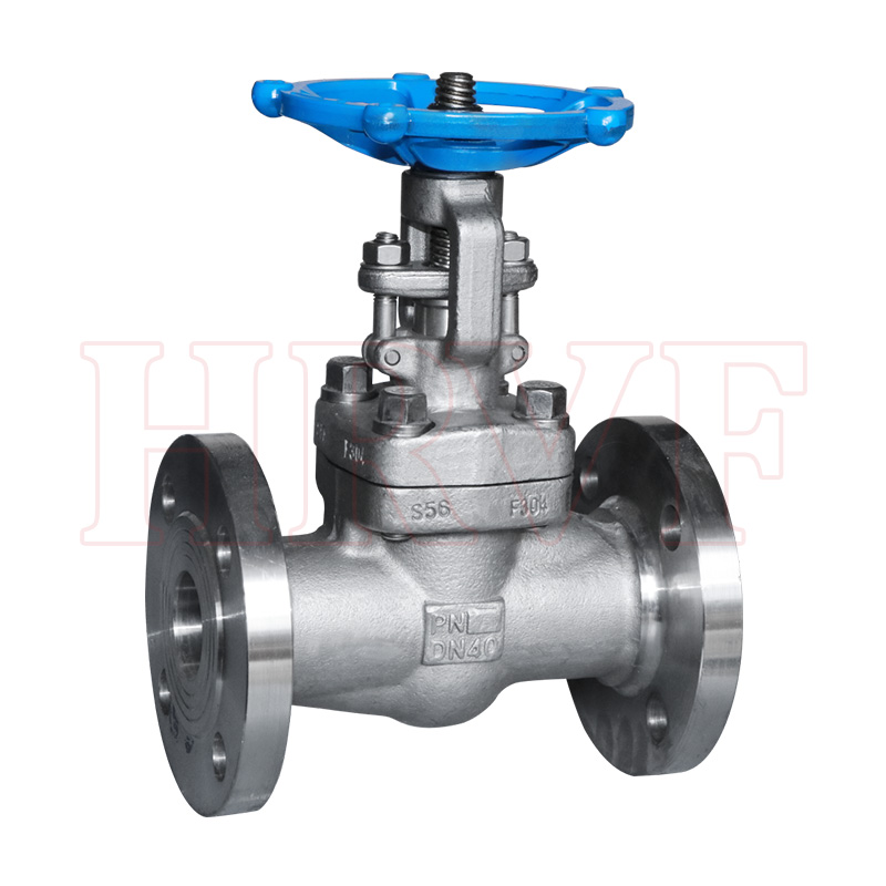 Stainless steel gate valve