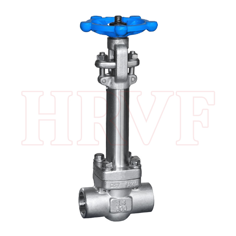 Stainless steel low-temperature socket welded gate valve