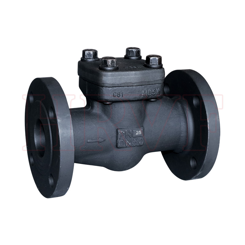 Forged steel flange check valve