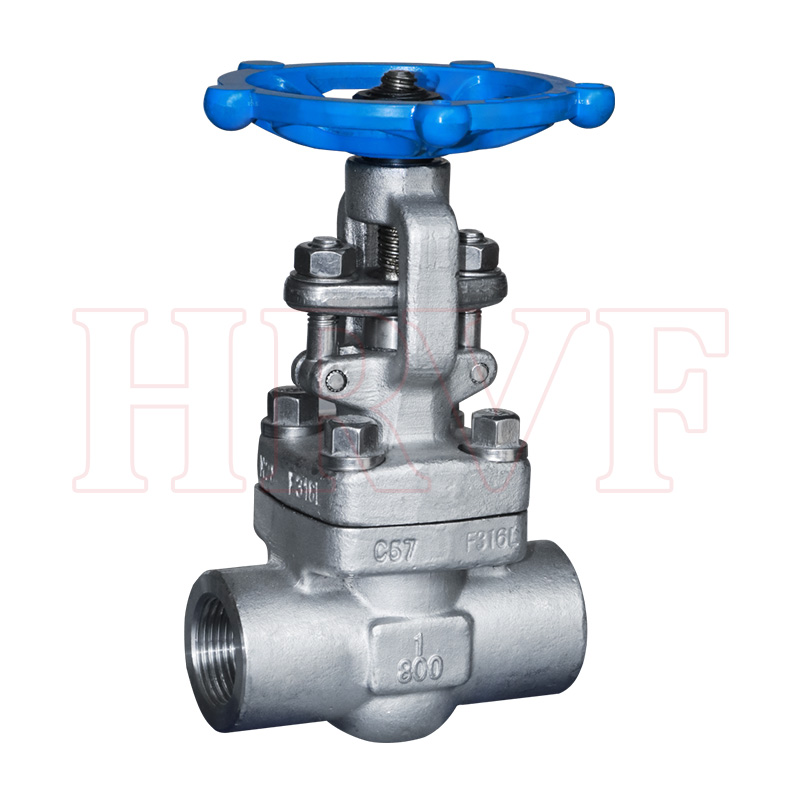 Stainless steel threaded gate valve