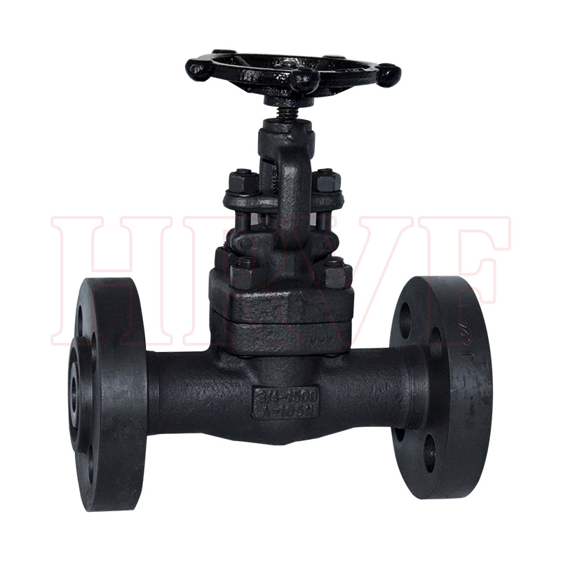 Forged steel flange globe valve