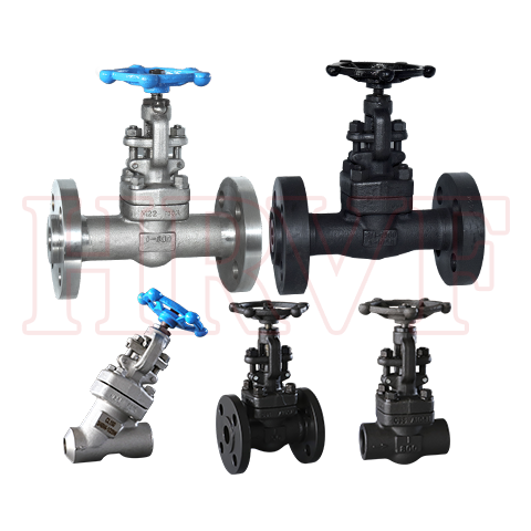 Globe valve series